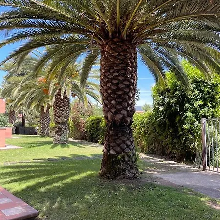 Maricampo Monolocale Con Piscina E Parcheggio Marina di Campo