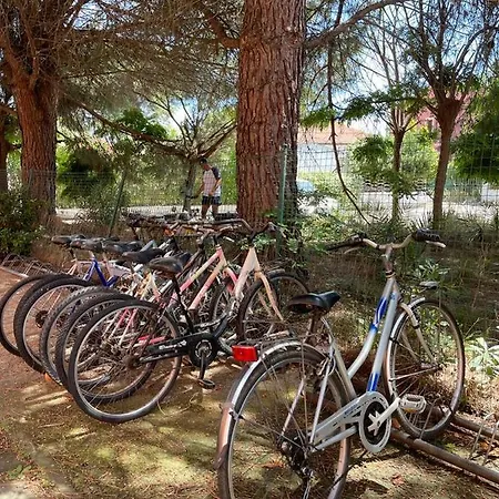 Maricampo Monolocale Con Piscina E Parcheggio Apartman Marina di Campo