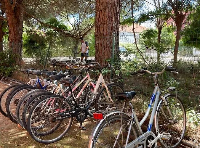 Maricampo Monolocale Con Piscina E Parcheggio Appartement Marina di Campo